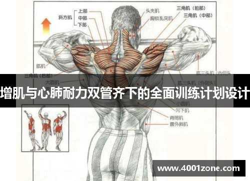 增肌与心肺耐力双管齐下的全面训练计划设计